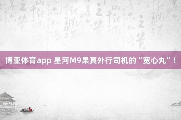 博亚体育app 星河M9果真外行司机的“宽心丸”！