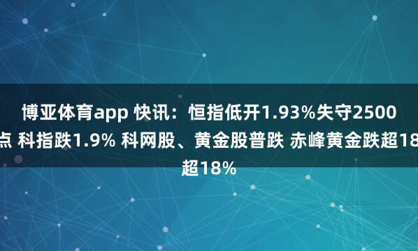 博亚体育app 快讯：恒指低开1.93%失守25000点 科指跌1.9% 科网股、黄金股普跌 赤峰黄金跌超18%
