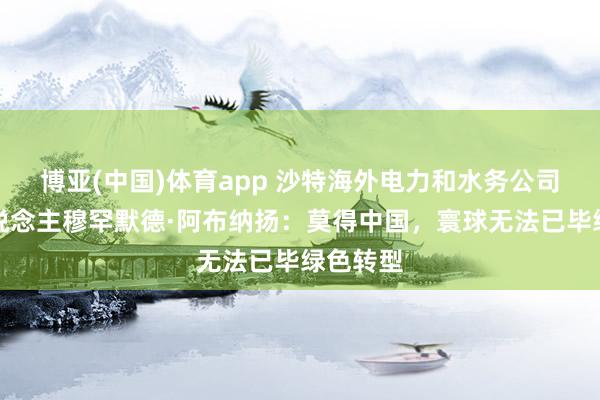 博亚(中国)体育app 沙特海外电力和水务公司首创东说念主穆罕默德·阿布纳扬：莫得中国，寰球无法已毕绿色转型