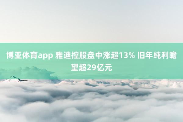 博亚体育app 雅迪控股盘中涨超13% 旧年纯利瞻望超29亿元