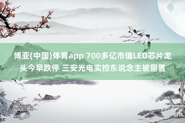 博亚(中国)体育app 700多亿市值LED芯片龙头今早跌停 三安光电实控东说念主被留置