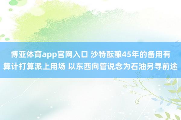 博亚体育app官网入口 沙特酝酿45年的备用有算计打算派上用场 以东西向管说念为石油另寻前途