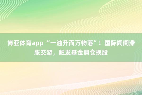 博亚体育app “一油升而万物落”！国际阛阓滞胀交游，触发基金调仓换股