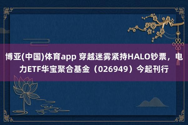 博亚(中国)体育app 穿越迷雾紧持HALO钞票，电力ETF华宝聚合基金（026949）今起刊行