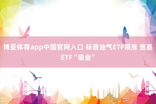 博亚体育app中国官网入口 标普油气ETF领涨 宽基ETF“吸金”