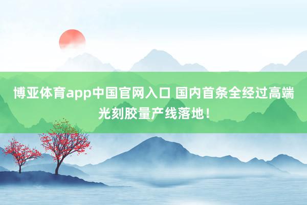 博亚体育app中国官网入口 国内首条全经过高端光刻胶量产线落地！
