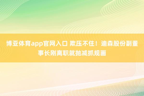 博亚体育app官网入口 欺压不住！迪森股份副董事长刚离职就抛减抓规画