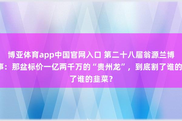 博亚体育app中国官网入口 第二十八届翁源兰博会旧事：那盆标价一亿两千万的“贵州龙”，到底割了谁的韭菜？