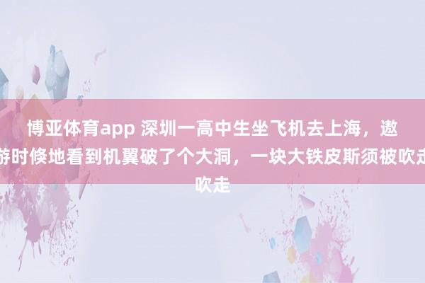 博亚体育app 深圳一高中生坐飞机去上海，遨游时倏地看到机翼破了个大洞，一块大铁皮斯须被吹走