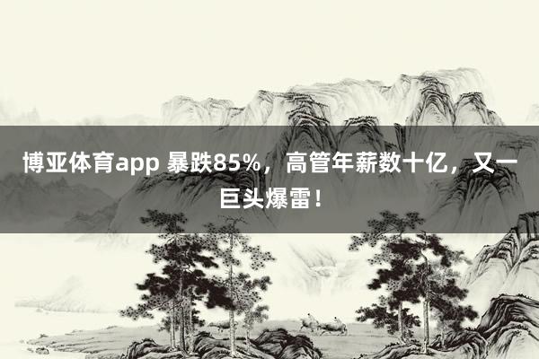博亚体育app 暴跌85%，高管年薪数十亿，又一巨头爆雷！