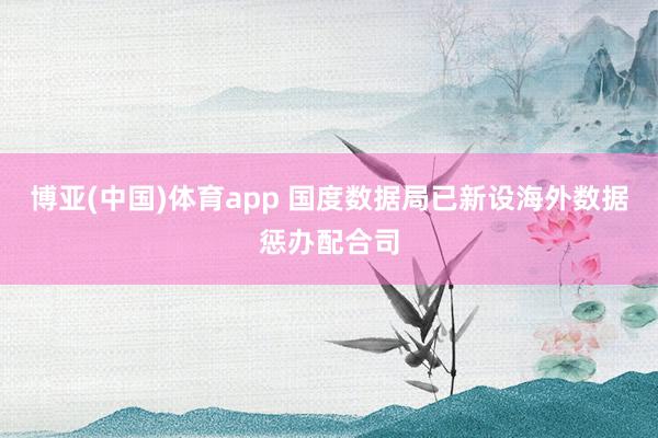 博亚(中国)体育app 国度数据局已新设海外数据惩办配合司