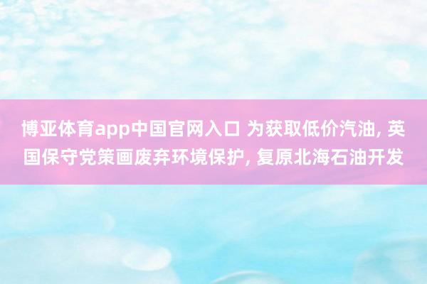 博亚体育app中国官网入口 为获取低价汽油， 英国保守党策画废弃环境保护， 复原北海石油开发
