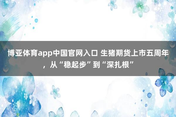 博亚体育app中国官网入口 生猪期货上市五周年，从“稳起步”到“深扎根”