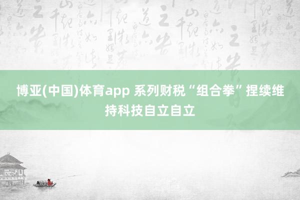 博亚(中国)体育app 系列财税“组合拳”捏续维持科技自立自立