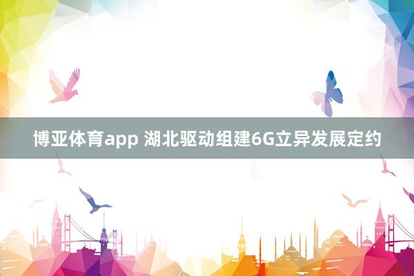 博亚体育app 湖北驱动组建6G立异发展定约