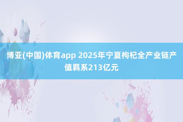 博亚(中国)体育app 2025年宁夏枸杞全产业链产值羁系213亿元