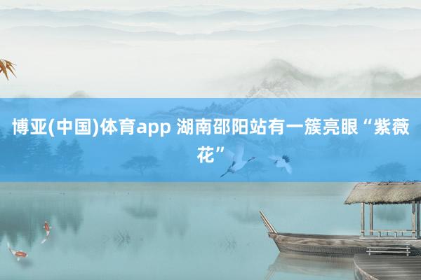 博亚(中国)体育app 湖南邵阳站有一簇亮眼“紫薇花”