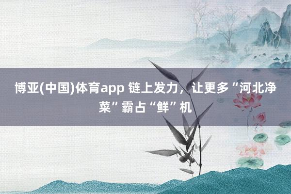 博亚(中国)体育app 链上发力，让更多“河北净菜”霸占“鲜”机