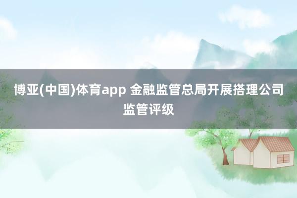 博亚(中国)体育app 金融监管总局开展搭理公司监管评级