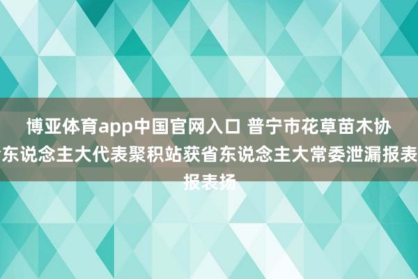 博亚体育app中国官网入口 普宁市花草苗木协会东说念主大代表聚积站获省东说念主大常委泄漏报表扬