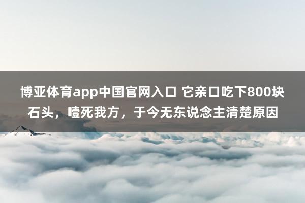 博亚体育app中国官网入口 它亲口吃下800块石头，噎死我方，于今无东说念主清楚原因