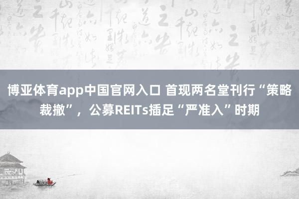 博亚体育app中国官网入口 首现两名堂刊行“策略裁撤”，公募REITs插足“严准入”时期