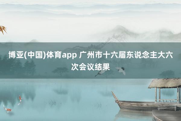 博亚(中国)体育app 广州市十六届东说念主大六次会议结果