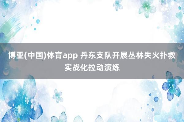 博亚(中国)体育app 丹东支队开展丛林失火扑救实战化拉动演练