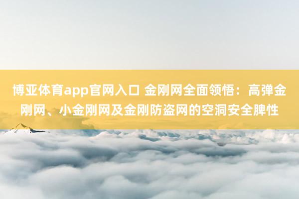 博亚体育app官网入口 金刚网全面领悟：高弹金刚网、小金刚网及金刚防盗网的空洞安全脾性