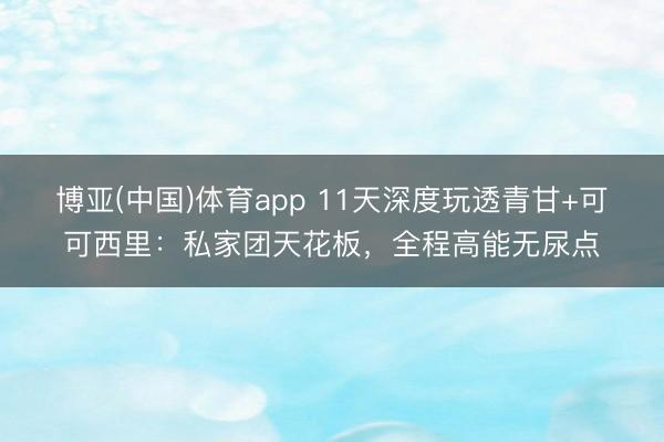 博亚(中国)体育app 11天深度玩透青甘+可可西里：私家团天花板，全程高能无尿点