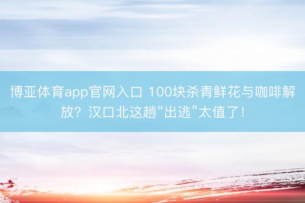 博亚体育app官网入口 100块杀青鲜花与咖啡解放？汉口北这趟“出逃”太值了！