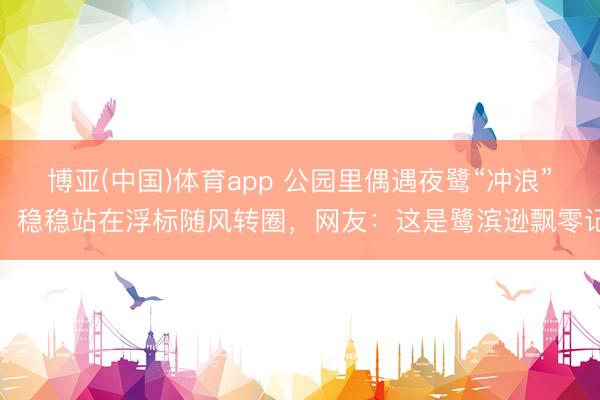 博亚(中国)体育app 公园里偶遇夜鹭“冲浪”，稳稳站在浮标随风转圈，<a href=