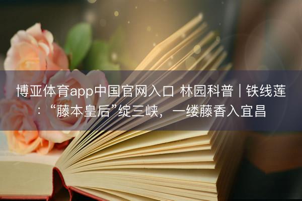 博亚体育app中国官网入口 林园科普 | 铁线莲：“藤本皇后”绽三峡，一缕藤香入宜昌