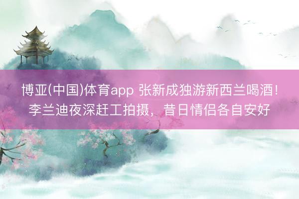 博亚(中国)体育app 张新成独游新西兰喝酒！李兰迪夜深赶工拍摄，昔日情侣各自安好