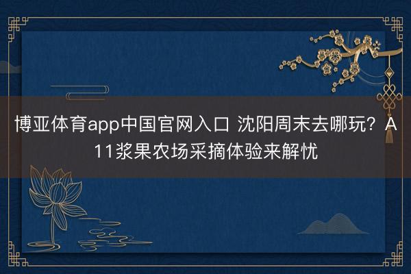 博亚体育app中国官网入口 沈阳周末去哪玩？A11浆果农场采摘体验来解忧