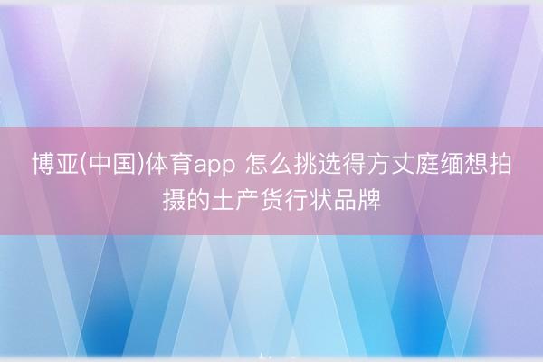 博亚(中国)体育app 怎么挑选得方丈庭缅想拍摄的土产货行状品牌
