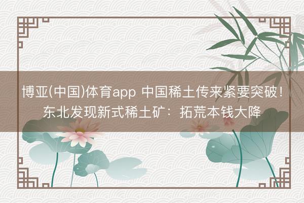 博亚(中国)体育app 中国稀土传来紧要突破！东北发现新式稀土矿：拓荒本钱大降