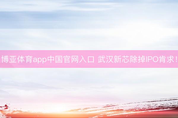 博亚体育app中国官网入口 武汉新芯除掉IPO肯求！