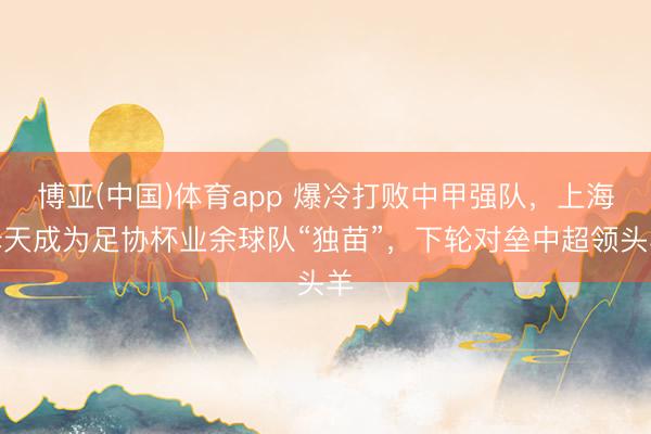 博亚(中国)体育app 爆冷打败中甲强队，上海泽天成为足协杯业余球队“独苗”，下轮对垒中超领头羊